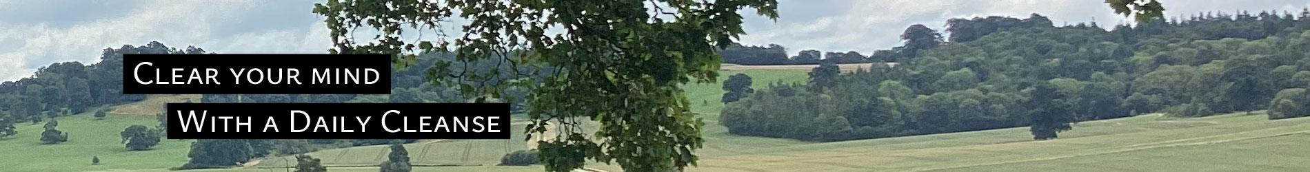 Clear your mind with a daily cleanse