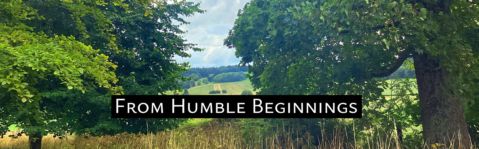 contryside remedies from humble beginnings