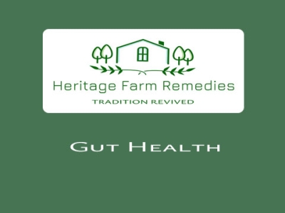 Gut Health Removing Intestinal Plaque With A Simple Detox